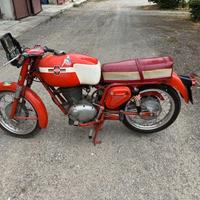 Gilera Altro modello - 1968