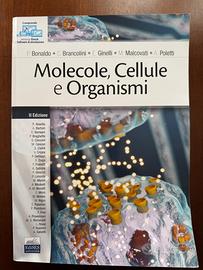 Molecole, Cellule e Organismi 2ª Edizione ~ EdiSES