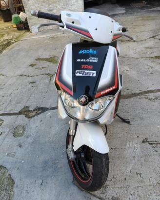 Gilera runner sp 50