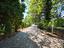 Immagine 25