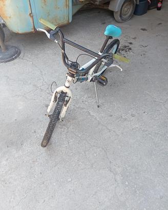 bicicletta 