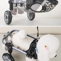 carrello  con ruote per cani disabili