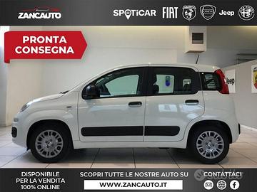 FIAT Panda 1.0 FireFly S&S Hybrid Pop 65cv