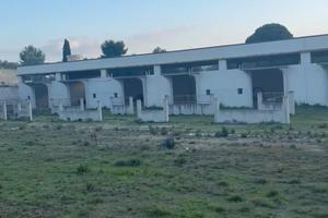 Capannone Artigianale/Commerciale