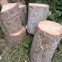 basamenti da giardino