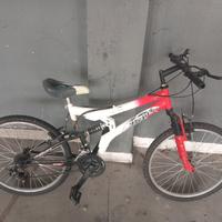 Bicicletta mountainbike rossa a bianca