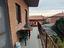 Immagine 6