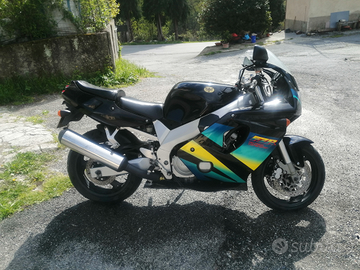 Fzr600r Genesis 94