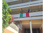 Immagine 6