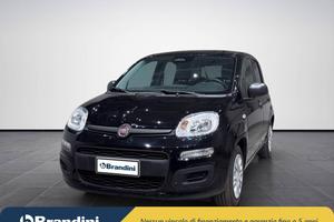 Fiat Pandina 1.0 firefly hybrid Icon s&s 70cv 5p.t