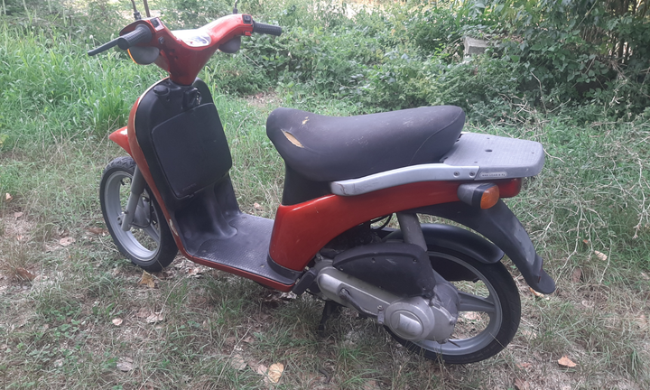 Piaggio free cc50