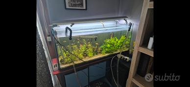 acquario 300litri con luce e filtro esterno