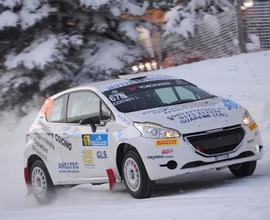 Peugeot 208 R2B - Rally