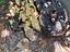 Immagine 2