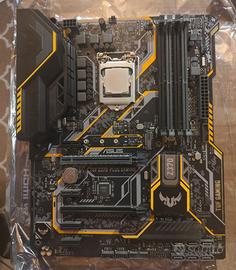 Asus TUF Z370 Plus Gaming + 8600k delid