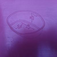 cuccia interna per cane