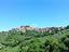 Immagine 7