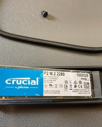 SSD Crucial P2 1 TB M.2 NVme piu box esterno