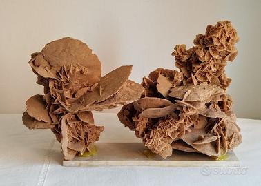 Rosa del deserto 470 gr