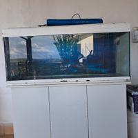 acquario con mobile