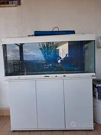 acquario con mobile