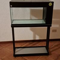 Acquario 60lt