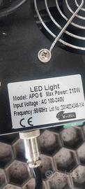 lampada led ortoled APO6