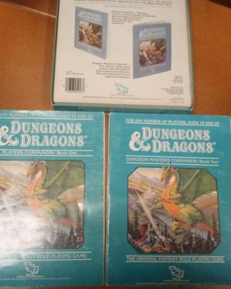 Dungeons & dragons companion originale