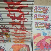 videocassette del corpo mano per bambini