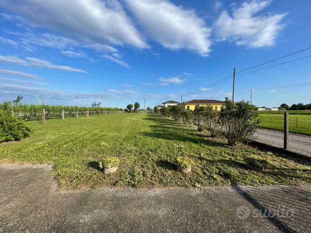 Campo agricolo di 1200mq a Vigo di Legnago