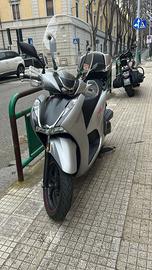 Motorino sh350 sport