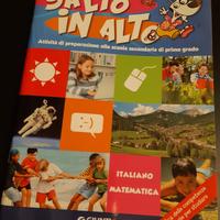 SALTO IN ALTO. GIUNTI Scuola. libro vacanze