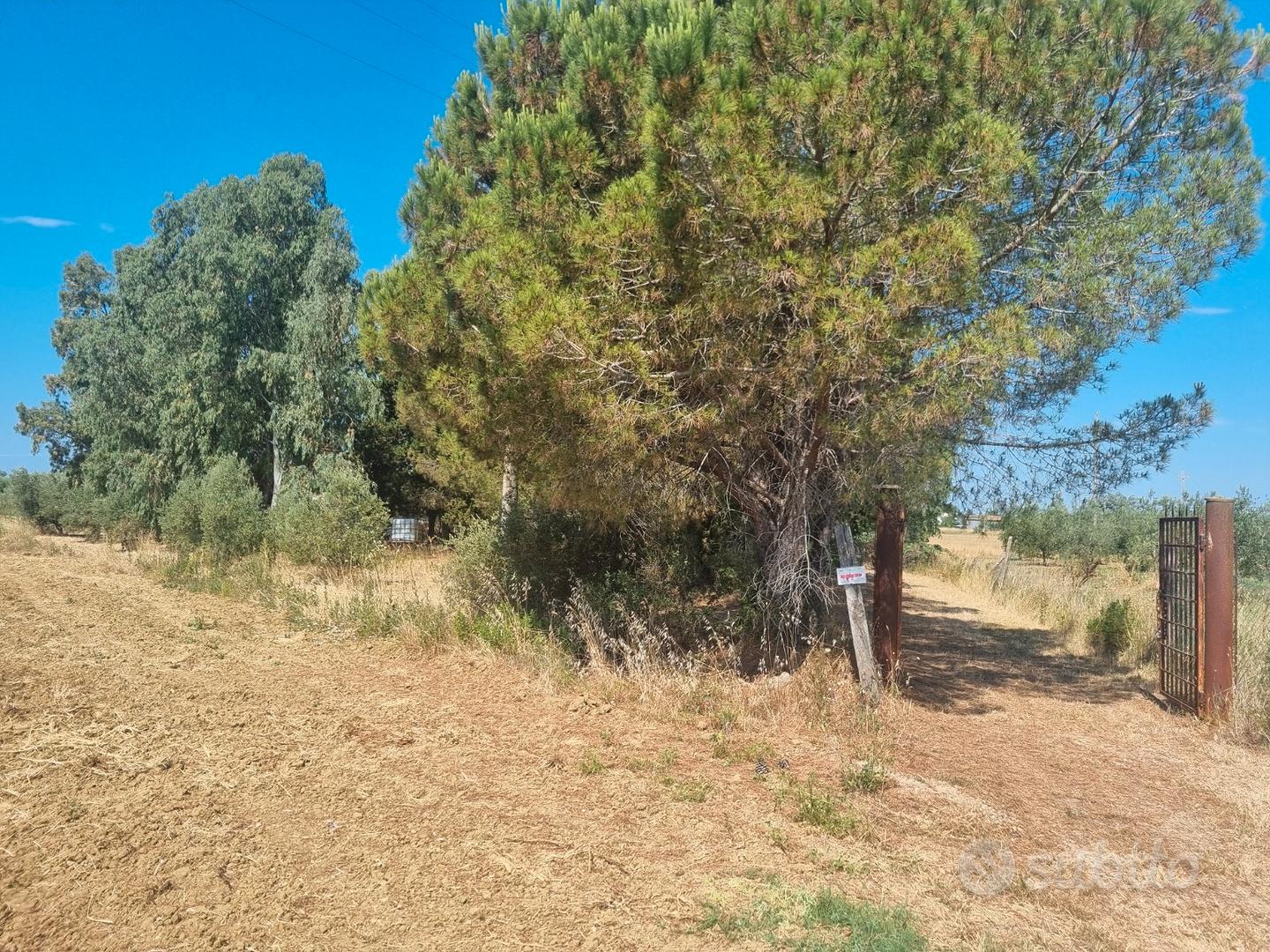 Terreno agricolo Loc Carbonifera - Vista 2