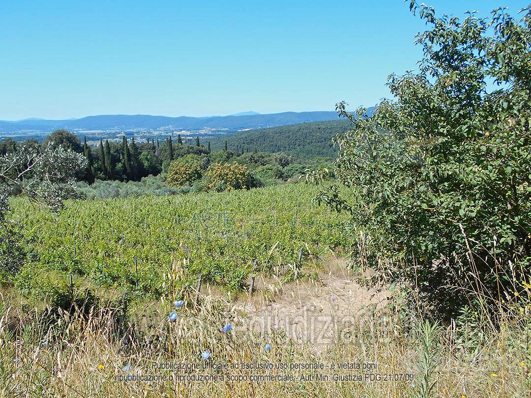 Terreno Agricolo Siena [A4352465] - Vista 5