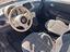 Immagine 12