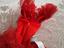 Immagine 4
