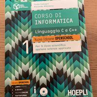 Libro informatica