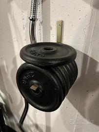 Dischi palestra 2,5 kg