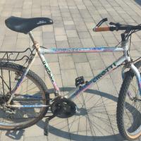 Mountain bike 