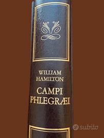 Campi Flegrei libro Banco di Napoli W.Hamilton