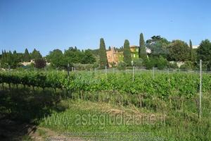Terreno Agricolo Grottaferrata [A4281362]