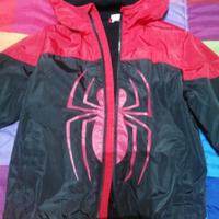 Giubbetto spiderman
