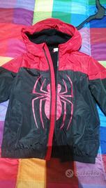 Giubbetto spiderman