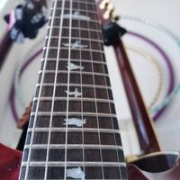PRS Guitars SE Custom