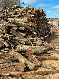 legna da ardere secca 