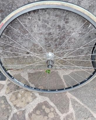 bicicletta cerchi 