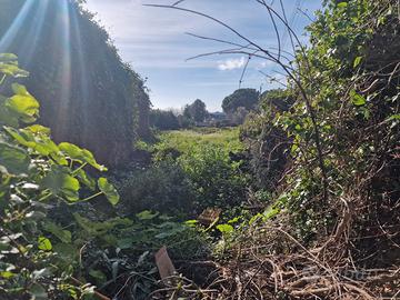 Stazzo acireale terreno con rustico da demolire