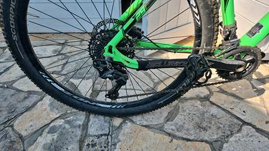 MTB Lee Cougan 29