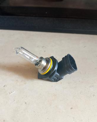 lampadina per auto 