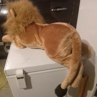 splendido  leone in peluche  gigante!! 
